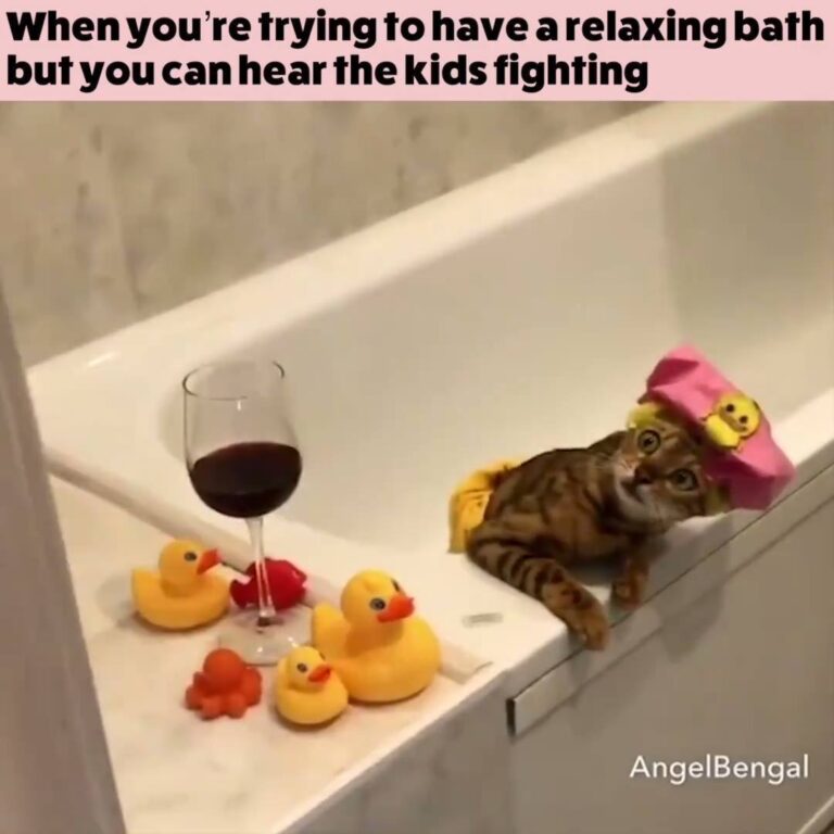 Bath Time