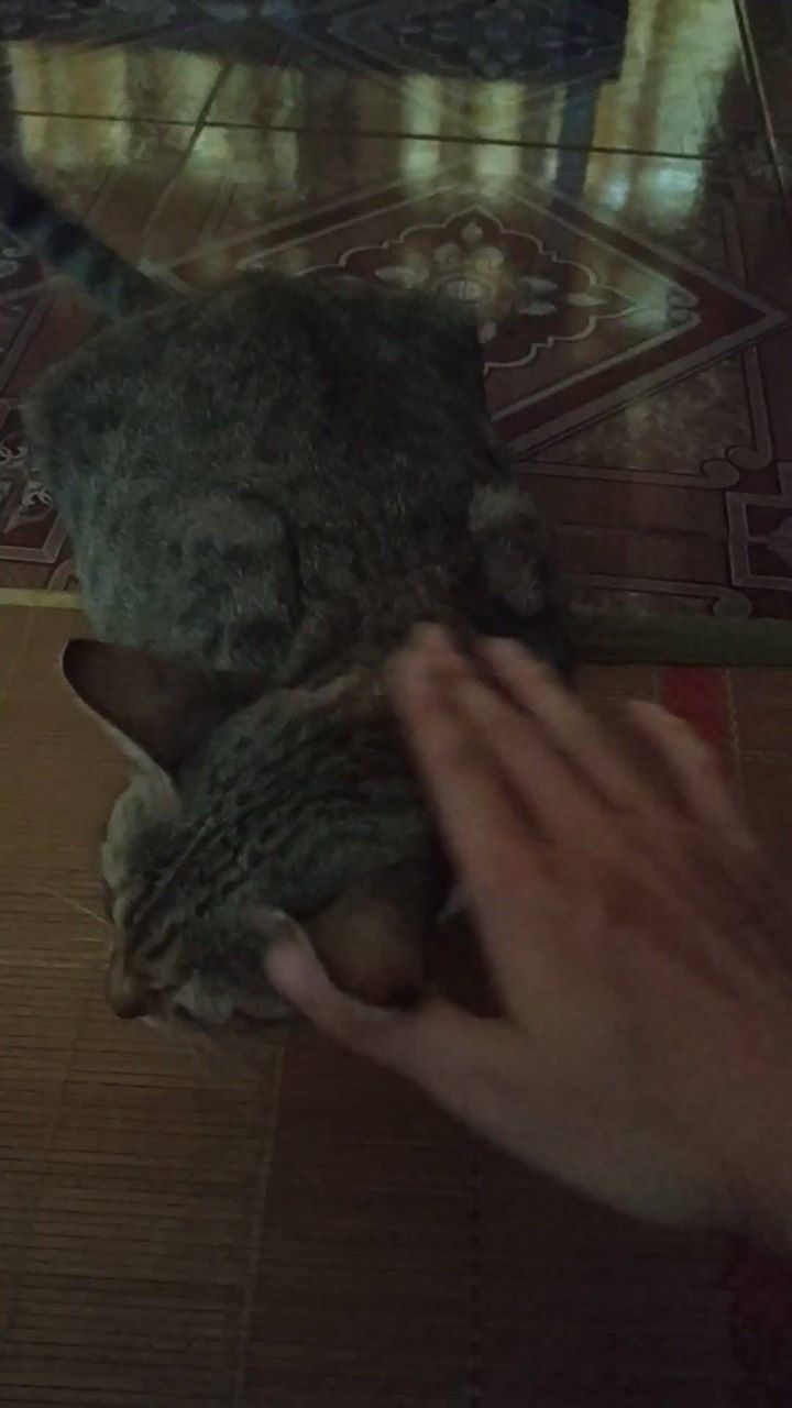she hates me
