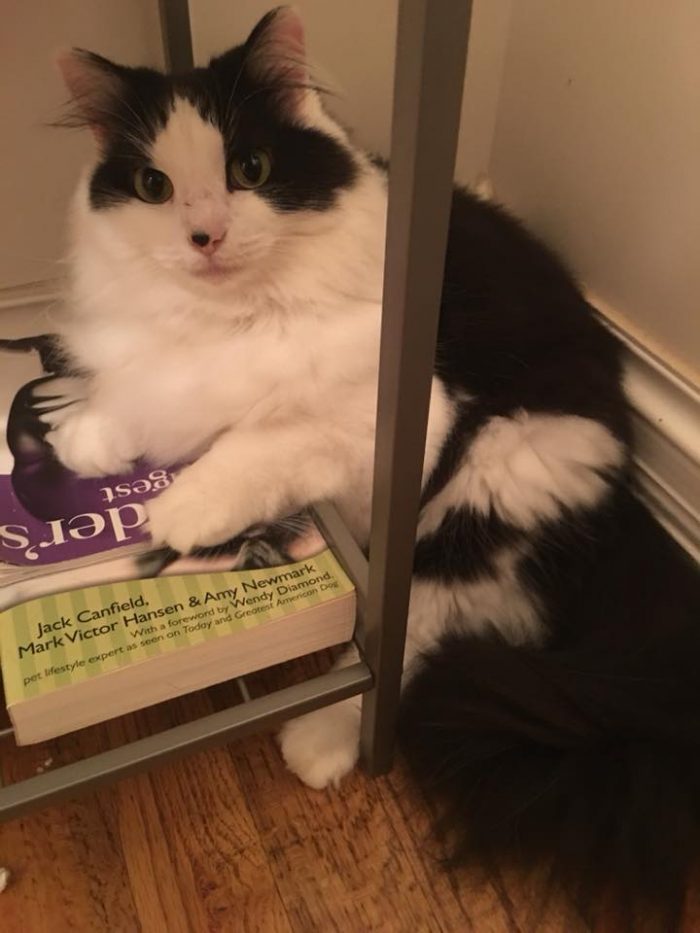 My funny girl Norah Belle