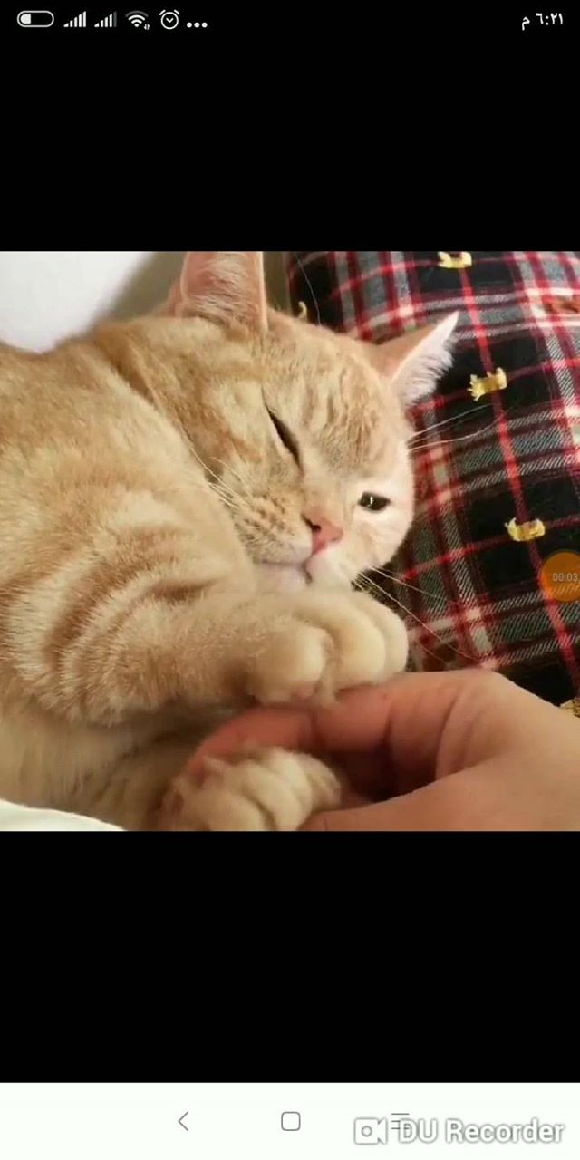 When babe doesn't want you to leave.