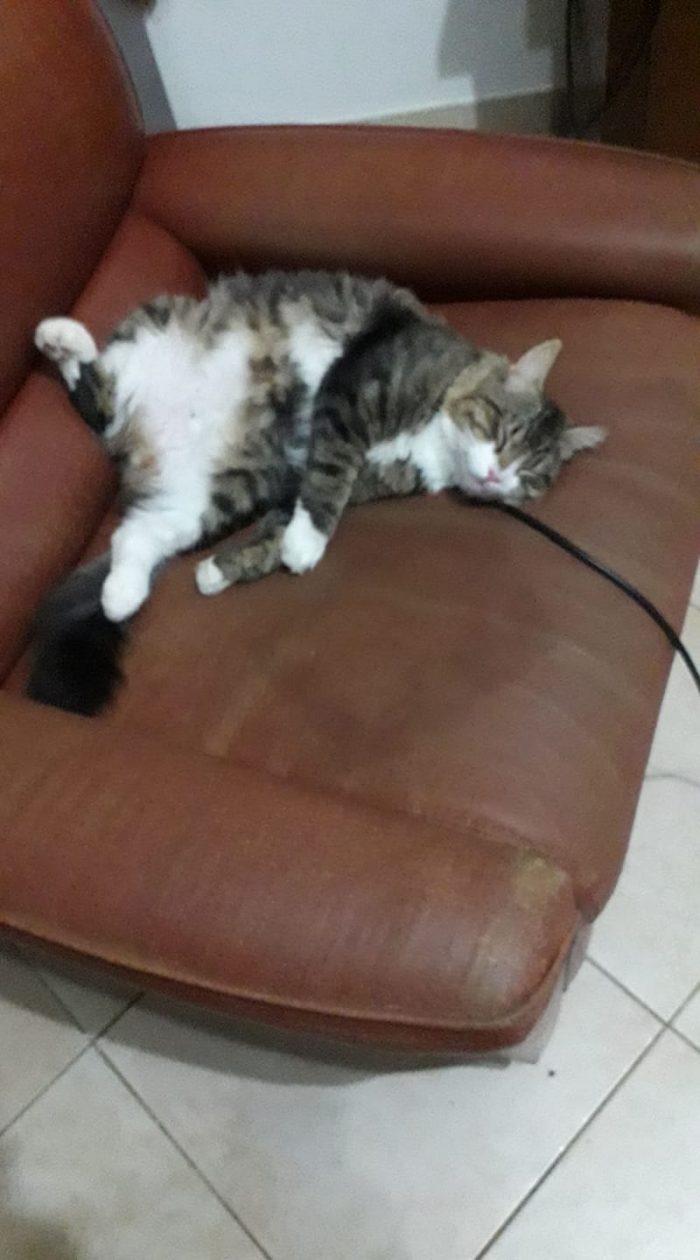 My name us Gigio...good  night