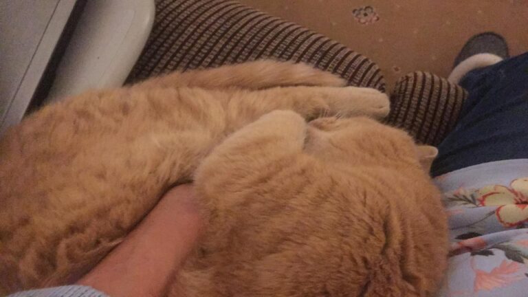 Think I might be stuck here this evening!