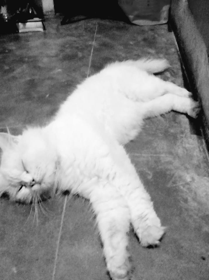 Sleeeping time