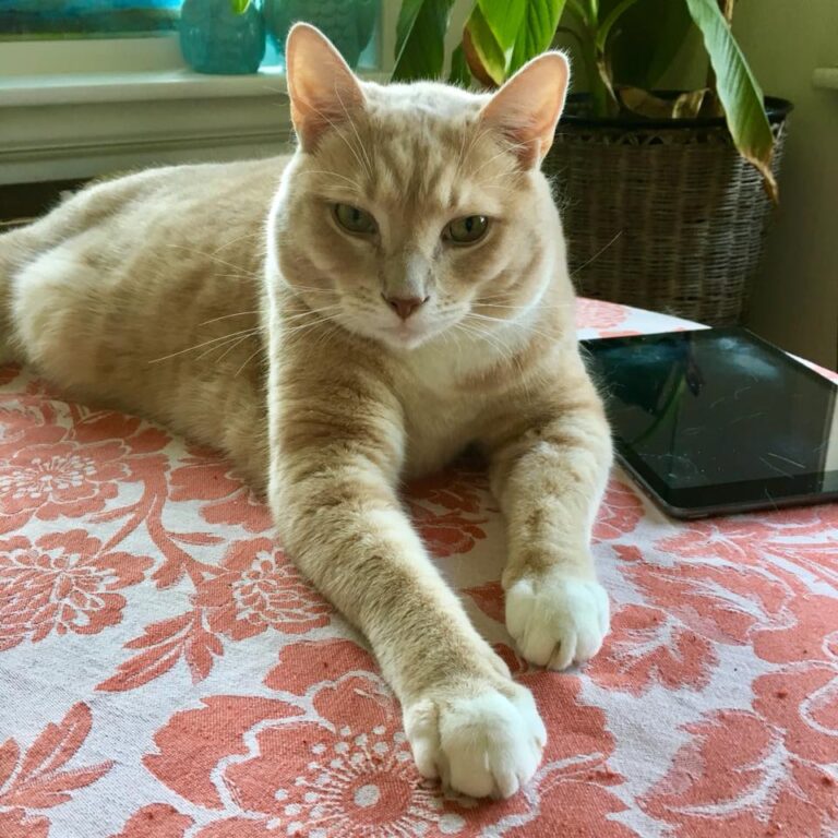 Sandy says happy TGIF everybody!