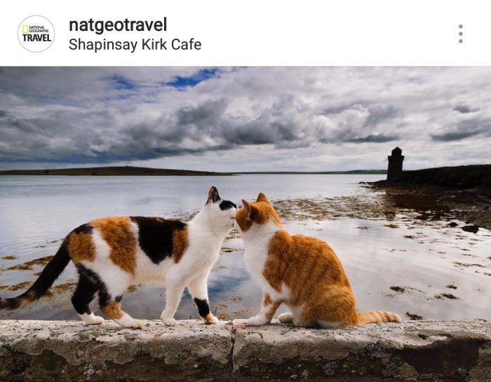 Find this pic lovely.. natgeo uploaded this beautiful  pic