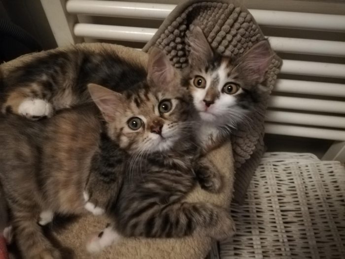 Best friends