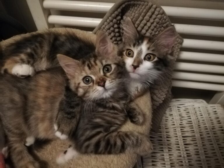 Best friends