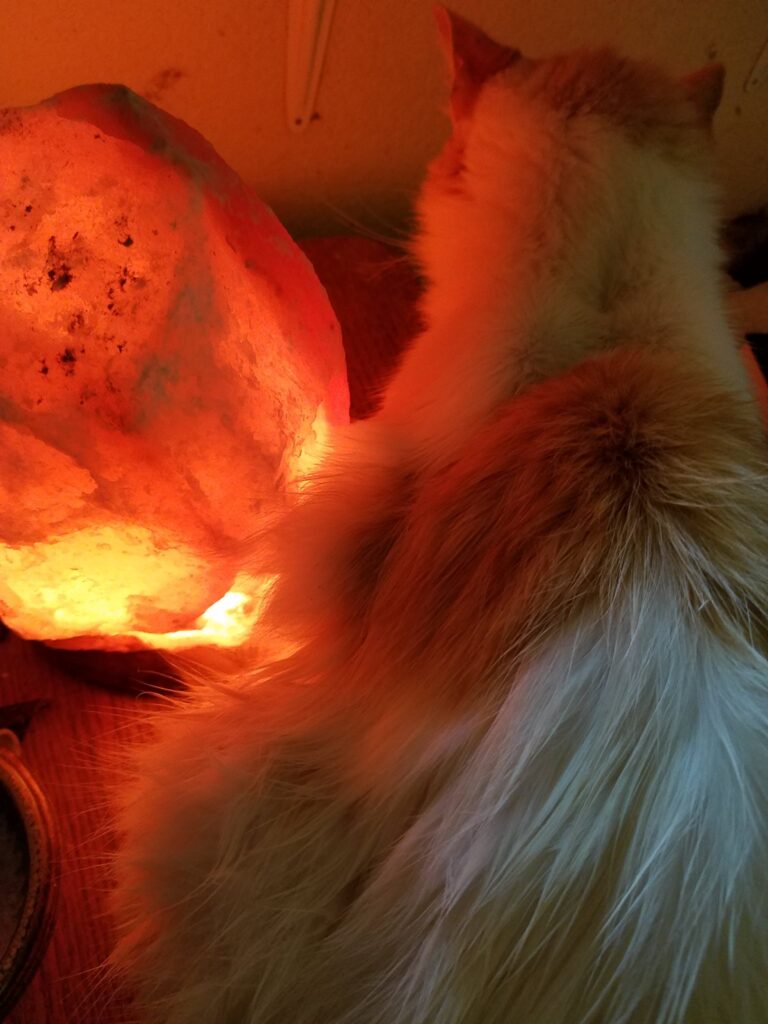 He is not getting too far away from the salt lamp.