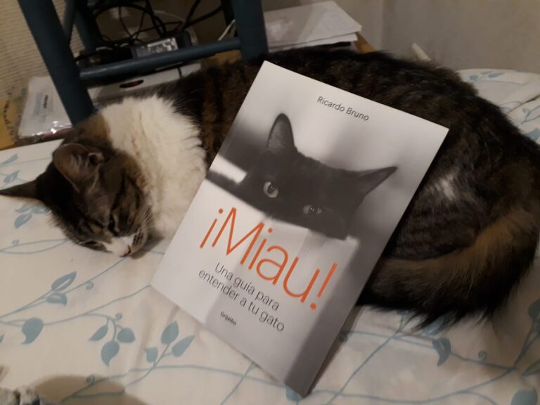 ¡An excellent spanish guide for how to know better ours cat!