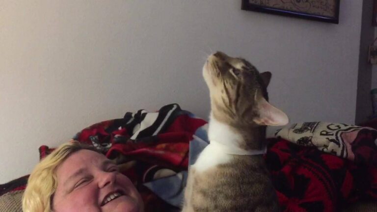 I don’t really know why he is doing this but he seems happy this is me and my bo