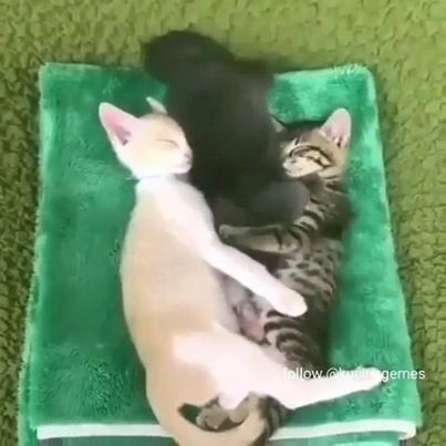 This is me when I see my friend and his girlfriend hanging out together