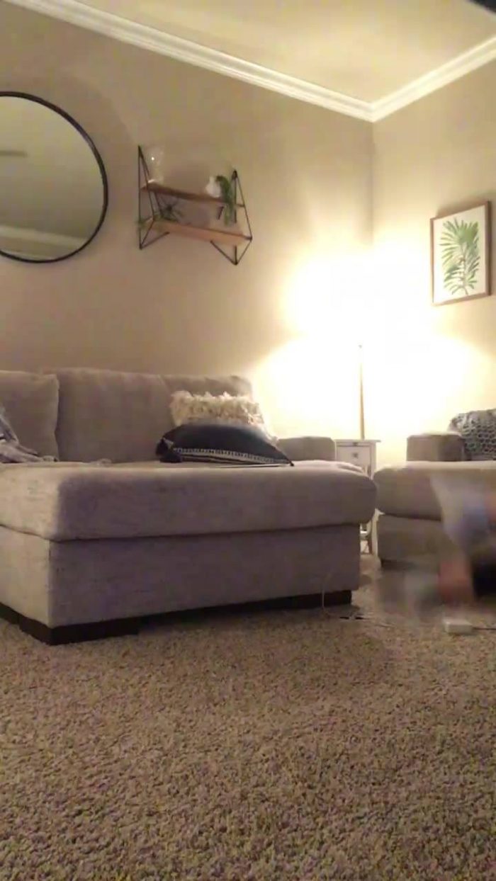 Do not test me hooman