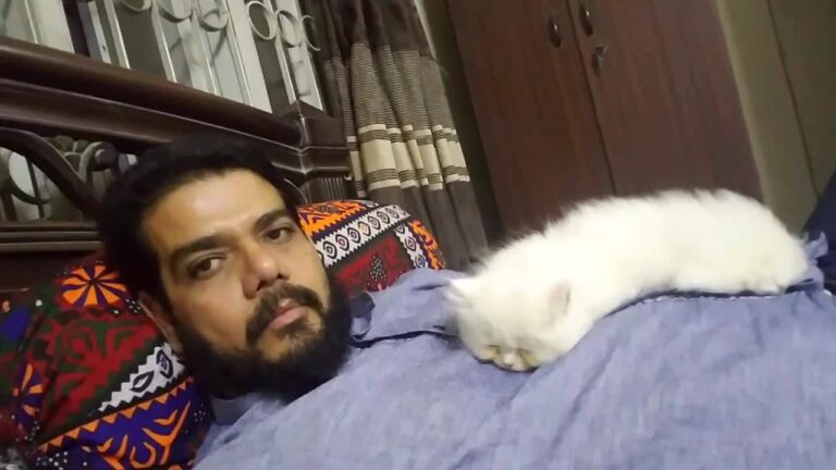 Resting on my fat belly