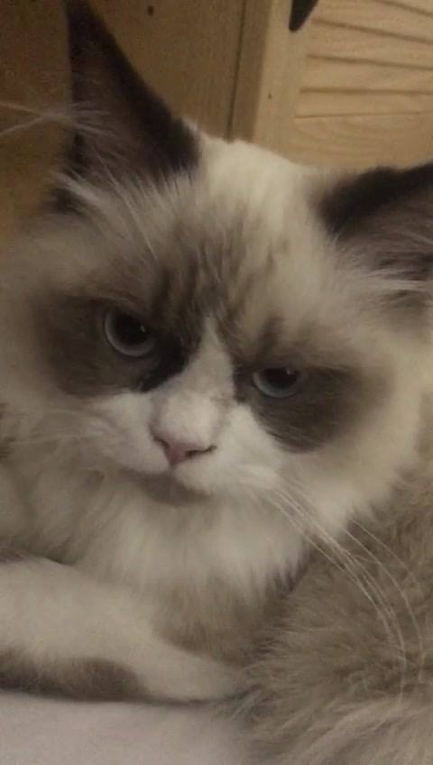 Hello from MusCAT, Sultanate of Oman..