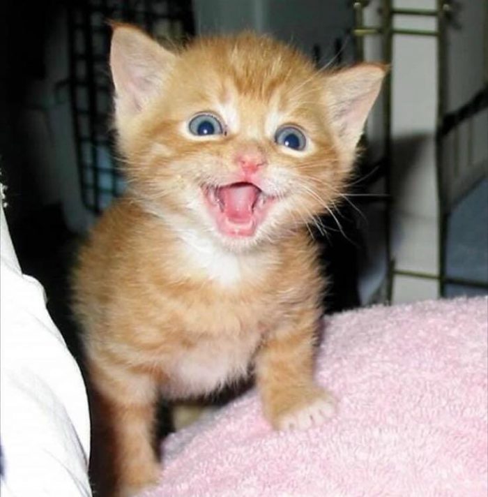 We say hi from Egypt   Where are you from ?♡♡