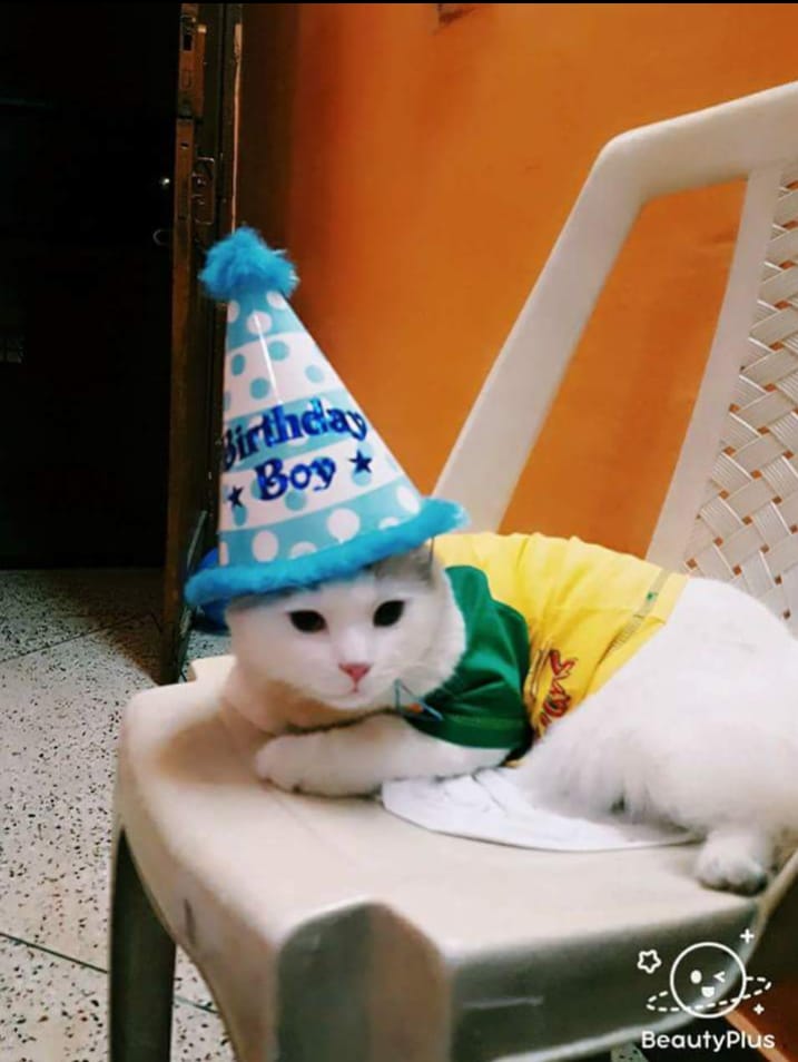 It my birthday..