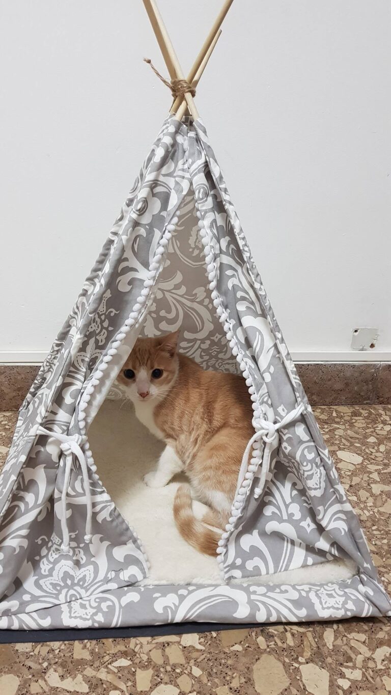 I'm so happy with my new house mommy bought me!!!! :)