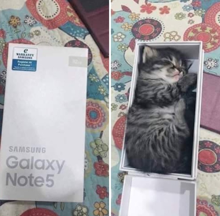 Much better than an iPhone