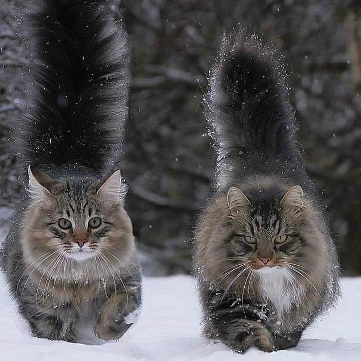 Beautiful