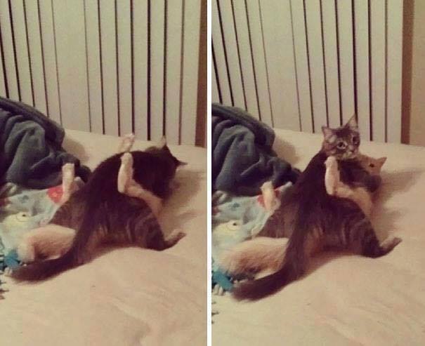 So I wanted to catch them degenerate