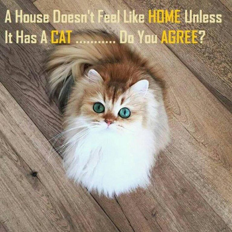 Agree???