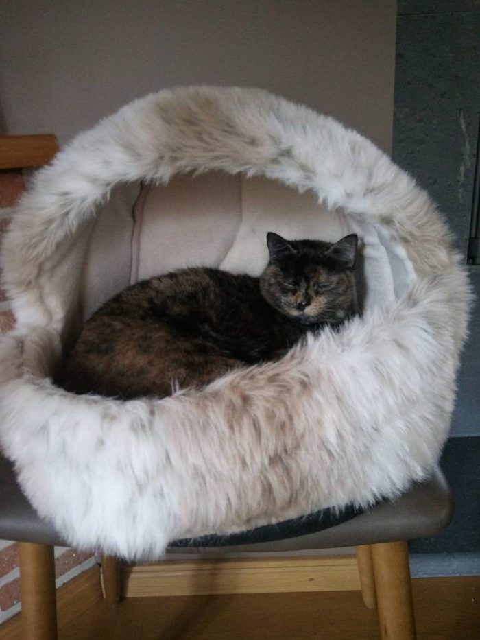 Hi everyone, I'm really looking for some advice