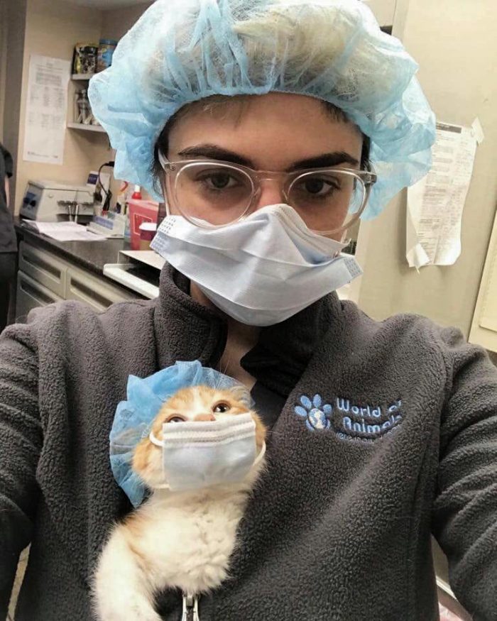 Give me a million awwws..