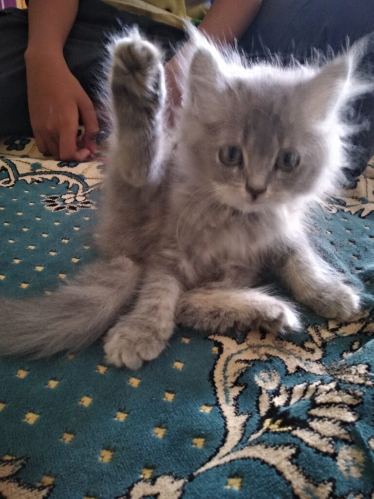 My name is Lucy & I'm soo sexy!