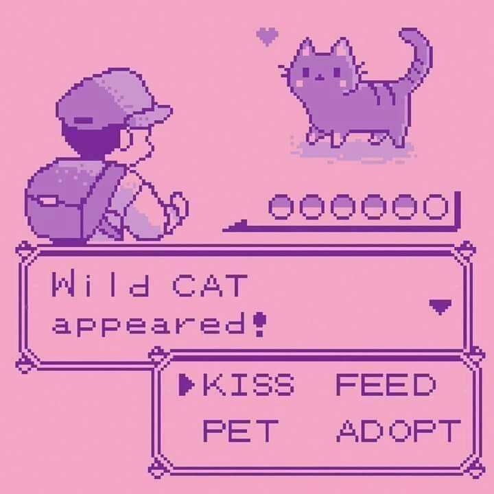 Kiss kiss kiss!