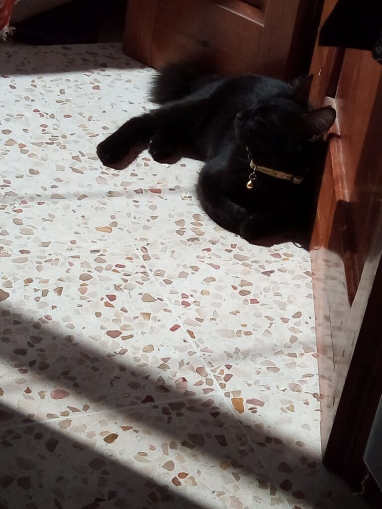 Not tanned enough!