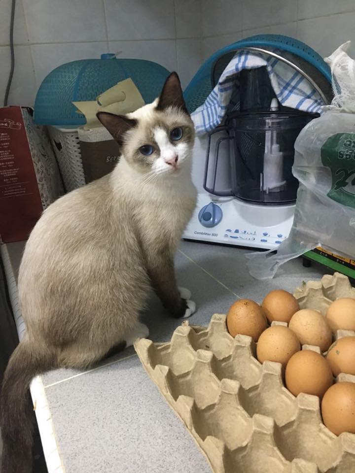 Pretend to be nice because of hungry only