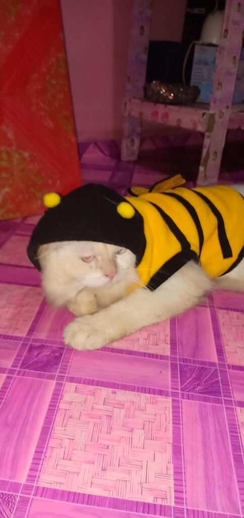 I Mickey,from Indonesia.good niegth.