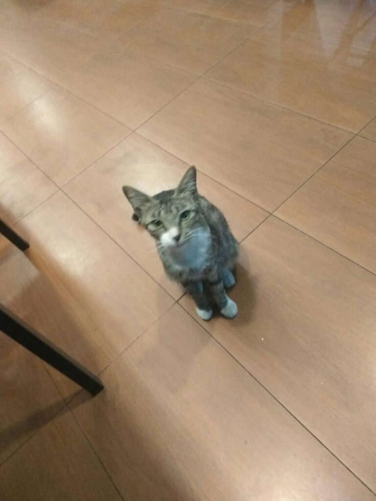 she's hungry