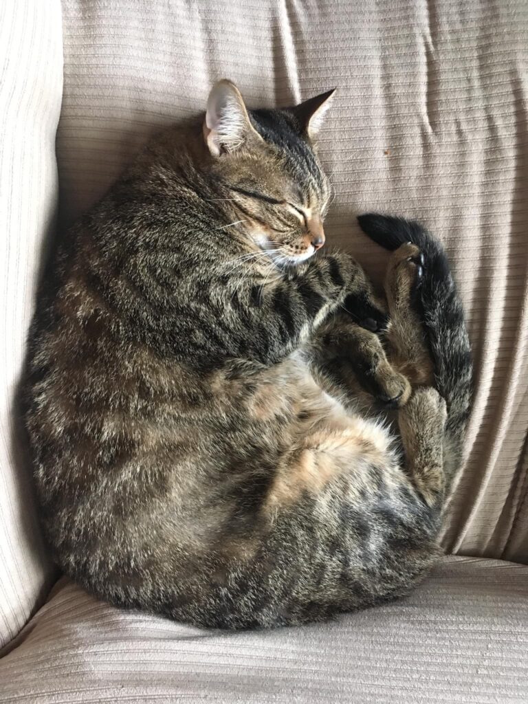 Look at this happy roll.