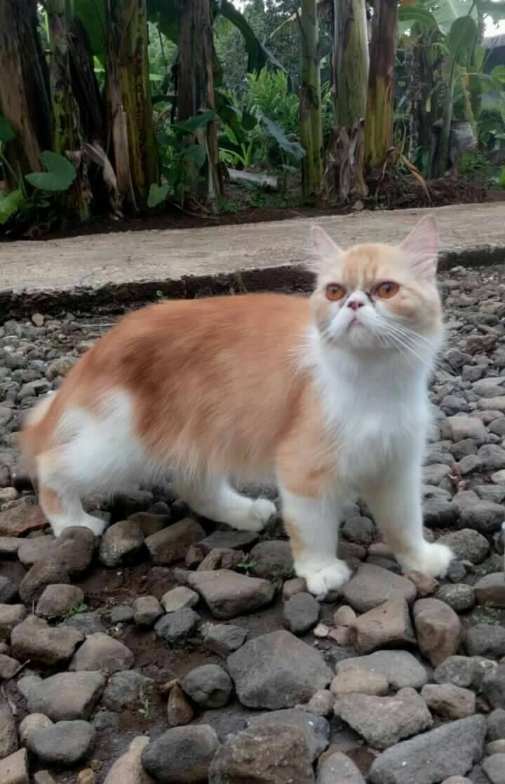 Hello from Indonesia
