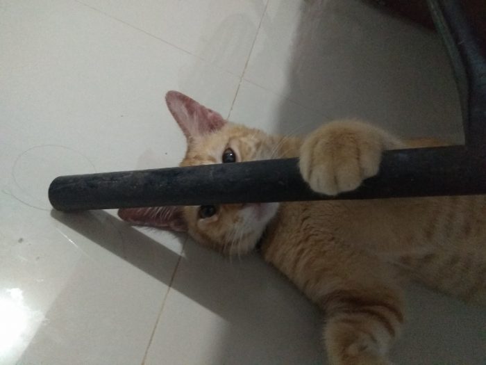 Look me