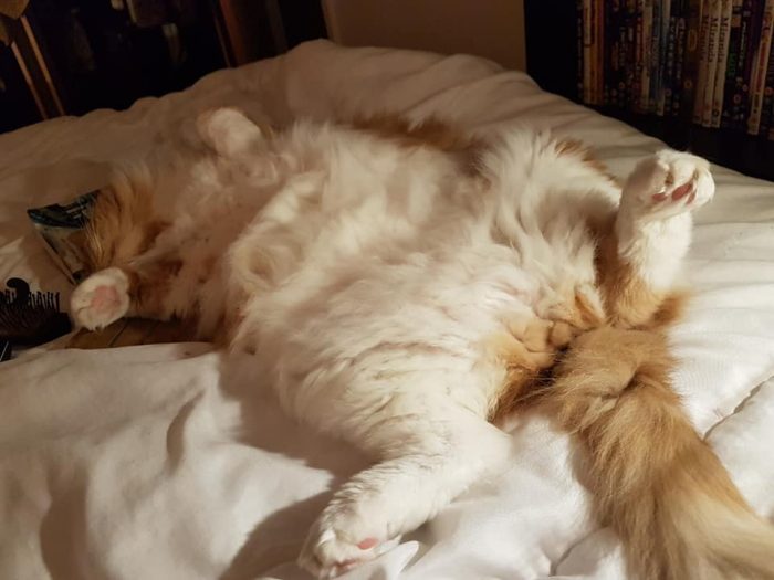 My big boy Barry and little cutiepie Roxy