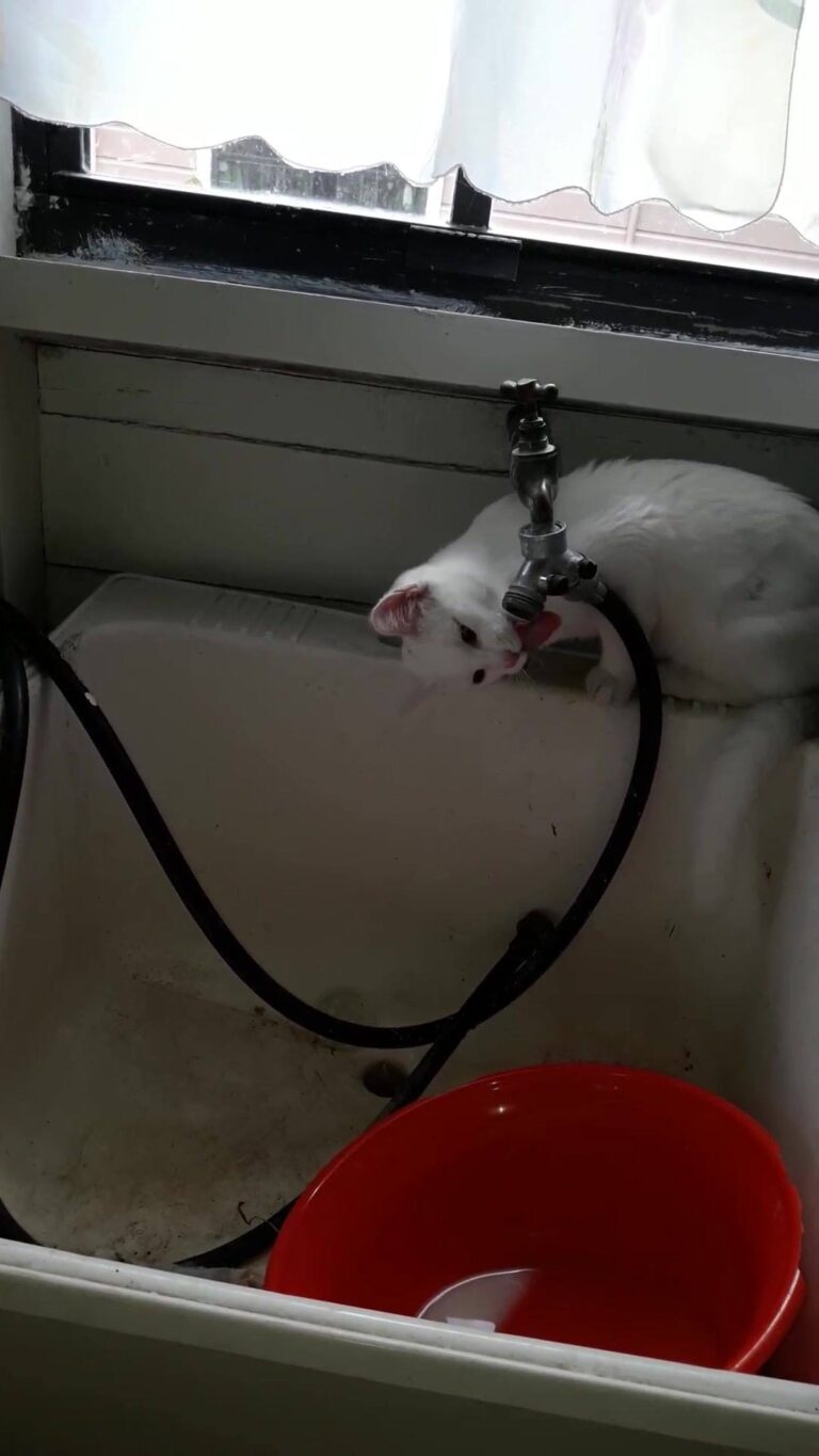 Having a drink