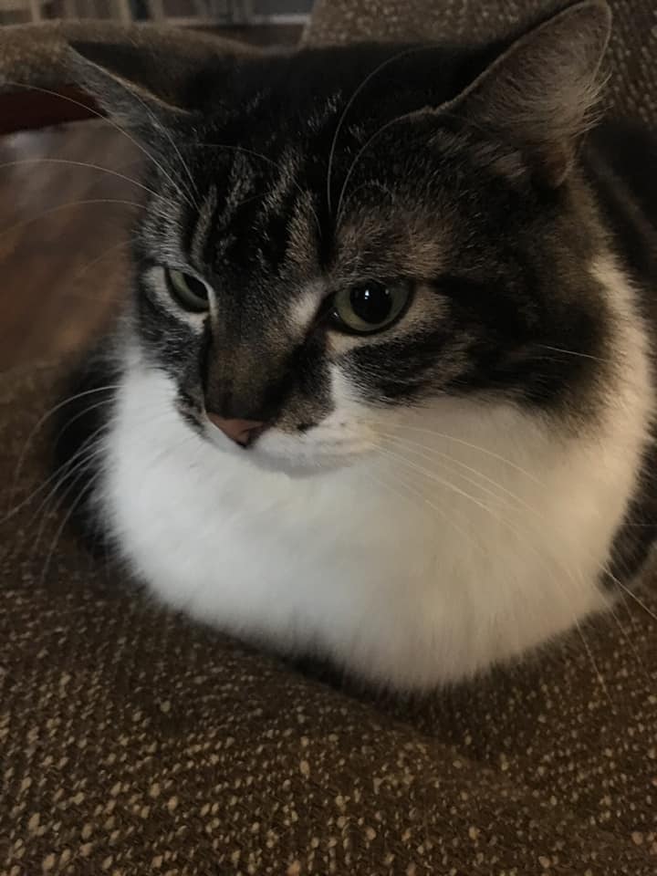 My sweet Eliza