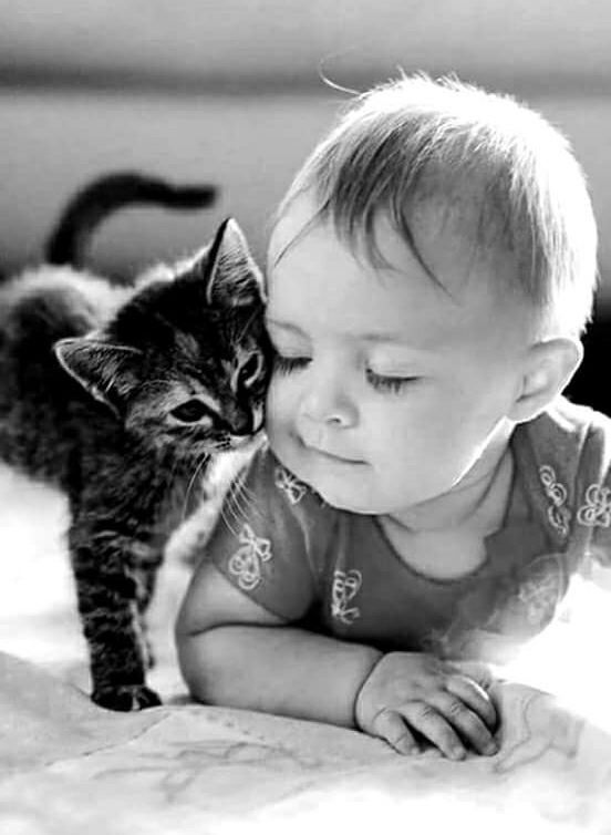 SO CUTE  DEAR FRIENDS