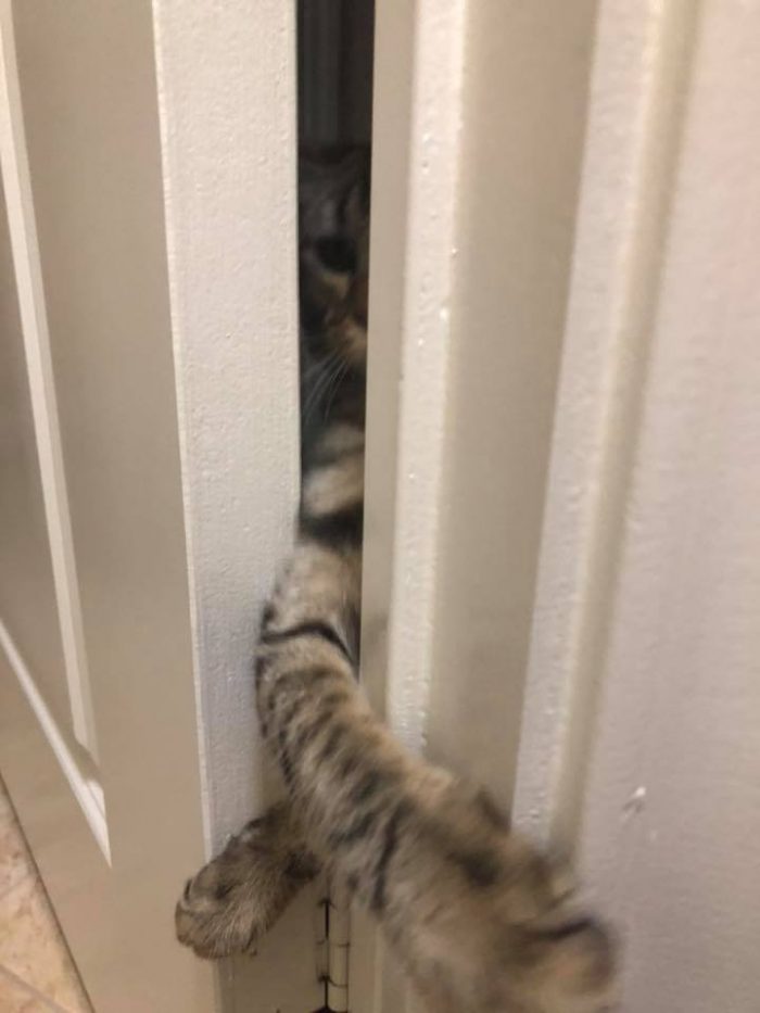 I will get you!!!