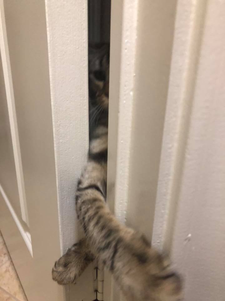 I will get you!!!