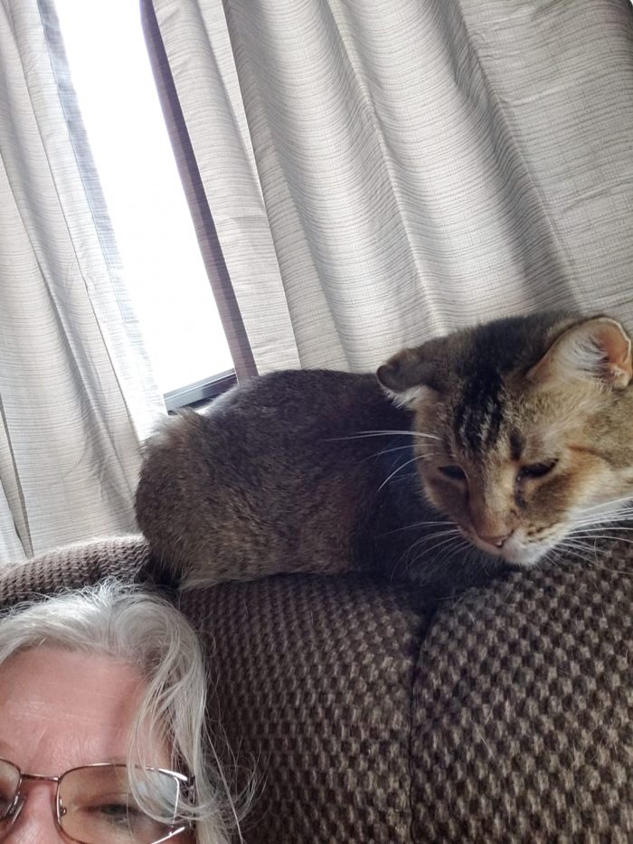 Me and my cat also named Sarah