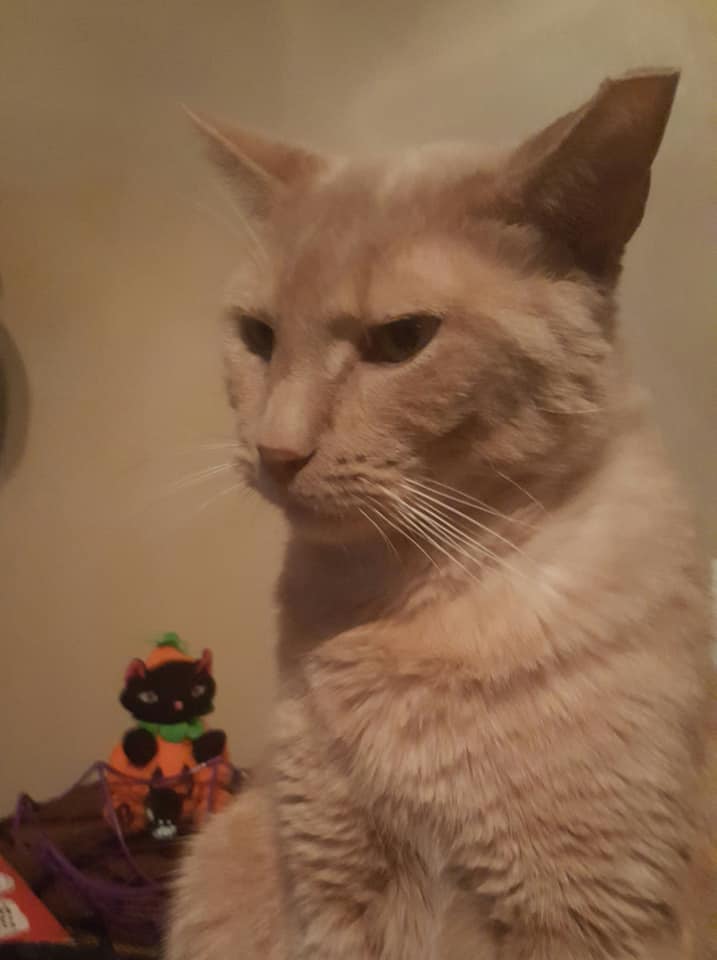 He always looks like he's mad...