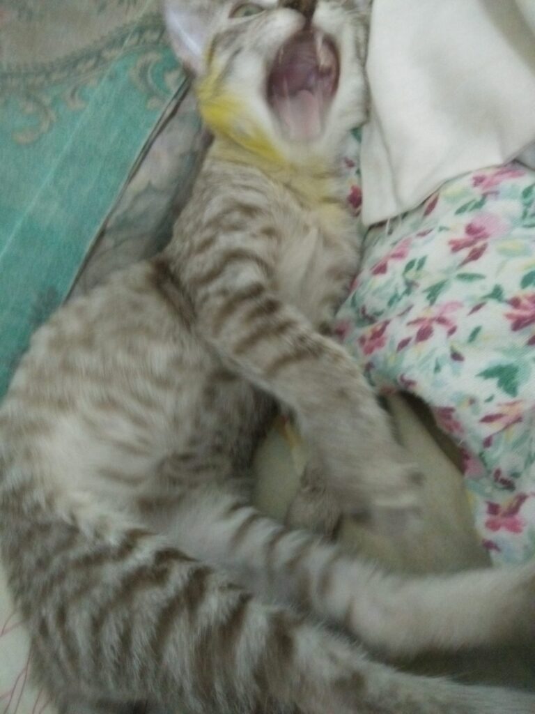 Momi.. Knock the door first please