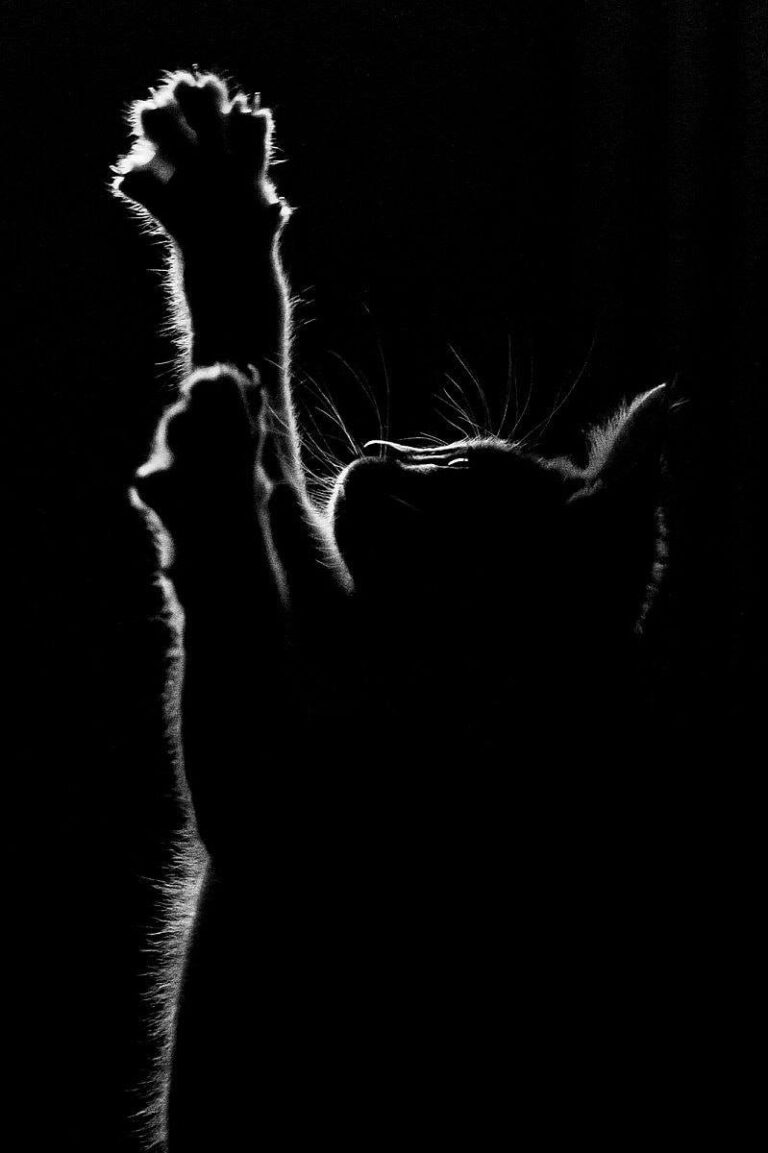 1st one is my lock screen pic  Source: pinterest