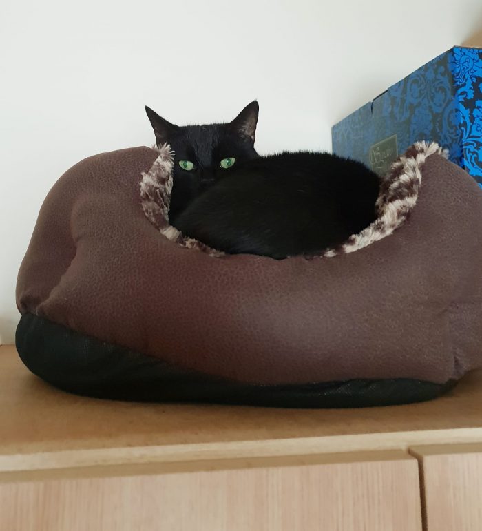 Lem and his new bed