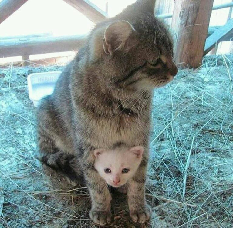 Just over protective mom:-)