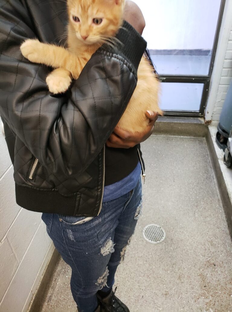Can you pick out a name for him
