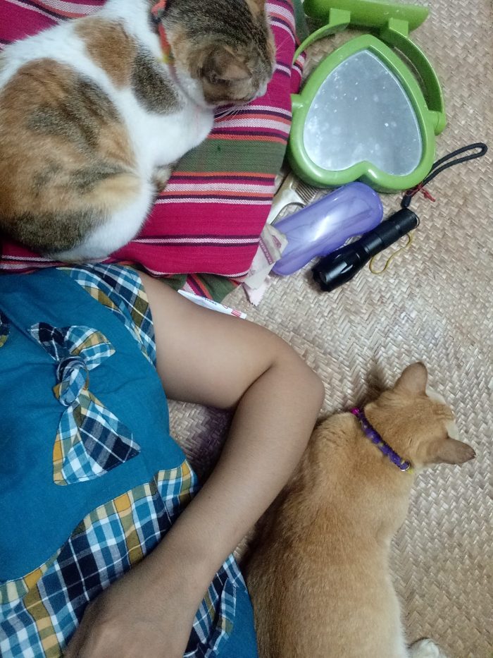 When I reach home from work.